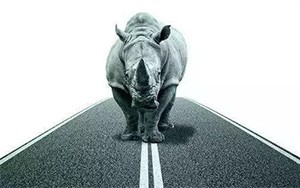 臣通觀點丨小心，中國產(chǎn)業(yè)園區(qū)的“灰犀?！庇謥砹?！